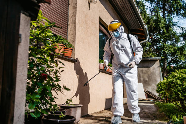 Best Pest Prevention Services  in Deale, MD