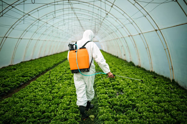 Best Pest Removal Services  in Deale, MD