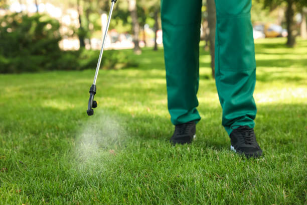 Professional Pest Control in Deale, MD