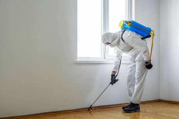 Best Affordable Pest Control Services  in Deale, MD