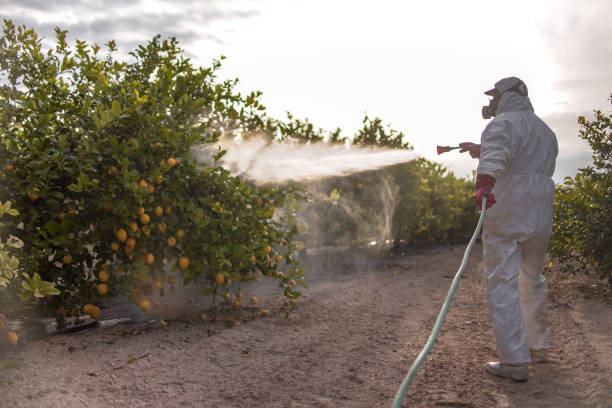 Best Pest Control Near Me  in Deale, MD