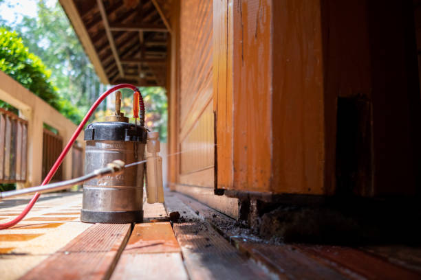Best Wasp Removal Services  in Deale, MD